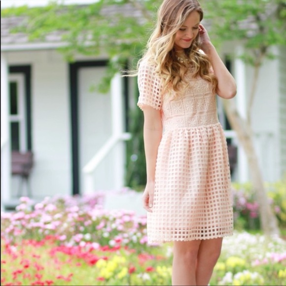 ELLIAT REVOLVE Soft Pink Lace Overlay Dress - Picture 14 of 15